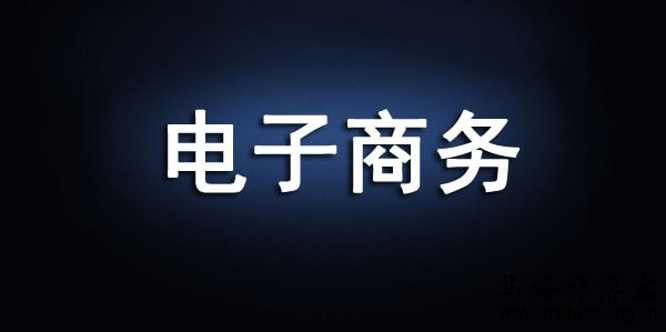 深入分析电子商务中的数据加密技术。