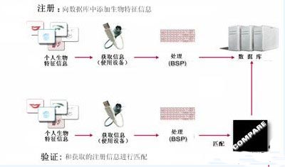 生物特征加密技术的指纹识别技术。