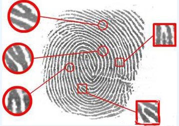 生物特征加密技术的指纹识别技术。