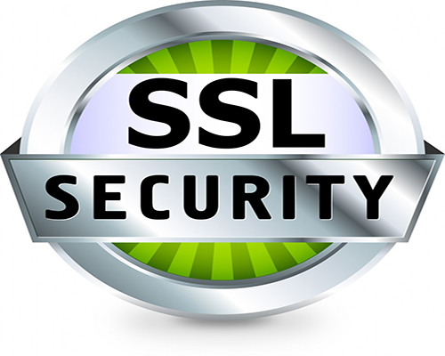 如何在SSL内加密添加任意TCP连接